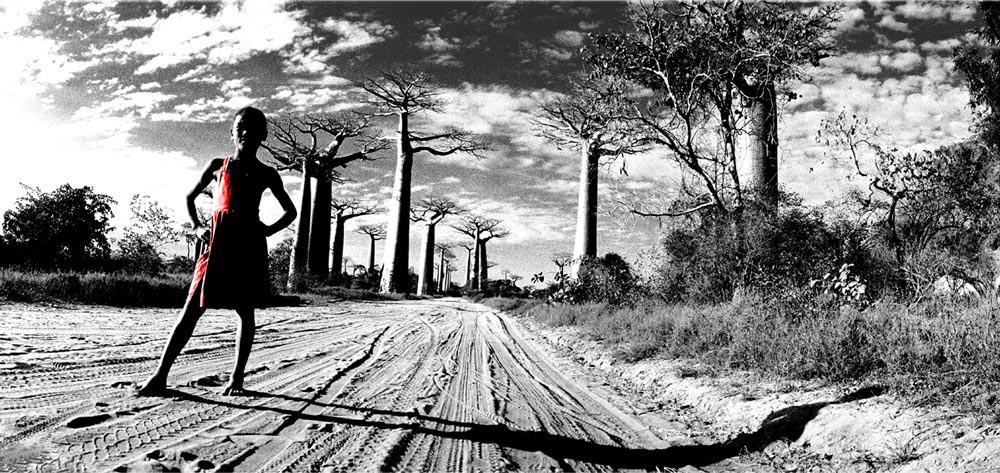 Baobaballee . Madagaskar 2003